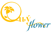 Shop hoa tươi Quyflower.com